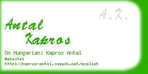 antal kapros business card
